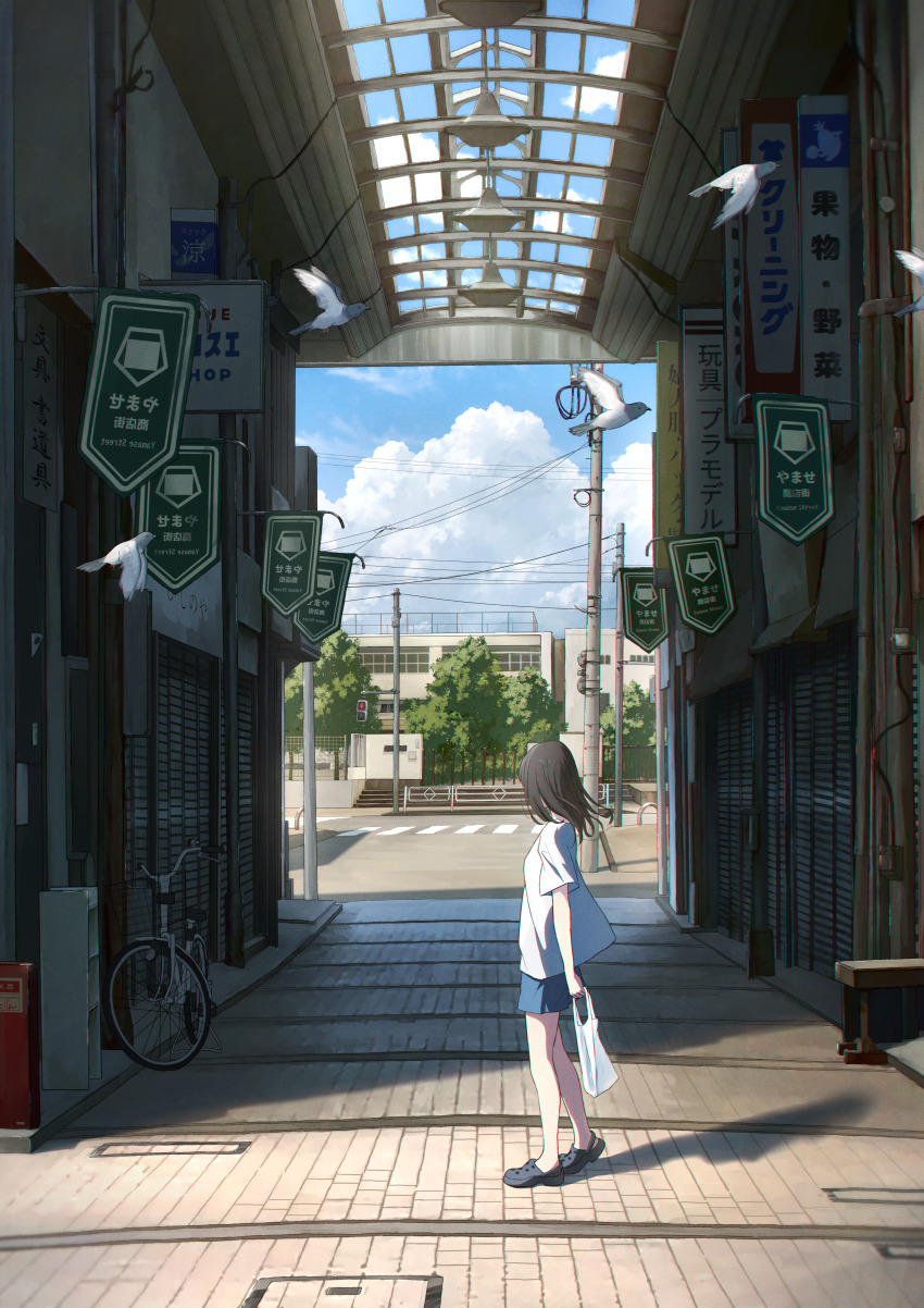 1girl absurdres anyotete bag bicycle bird black_hair blue_sky cloud commentary_request crosswalk day highres holding holding_bag original outdoors pigeon plastic_bag power_lines road scenery shadow short_hair sky solo summer utility_pole