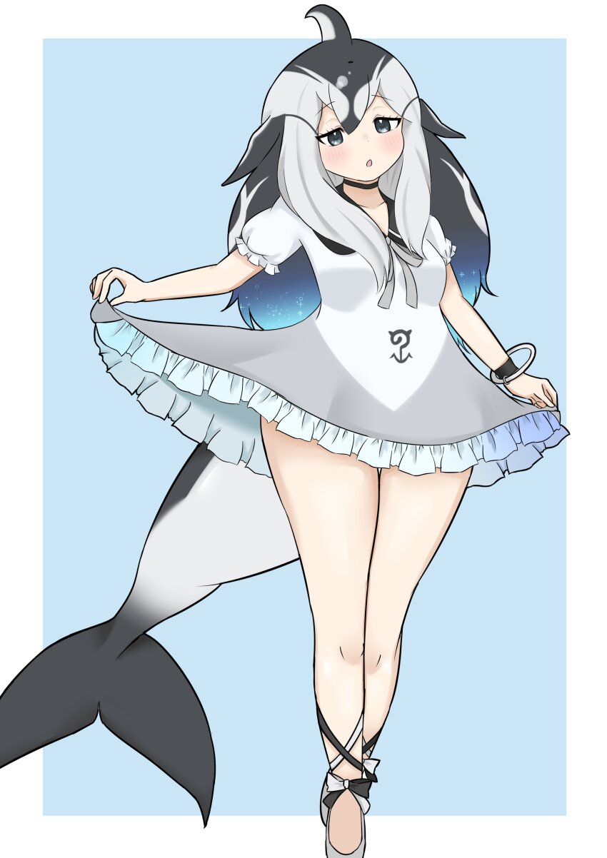 :o absurdres ballet_slippers black_choker black_shoes blowhole blue_eyes blue_hair blush bow bowtie bracelet cetacean_tail choker collared_dress curtsey dolphin_girl dorsal_fin dress fins fish_tail frilled_dress frills full_body grey_dress grey_hair head_fins highres inucha_tea japari_symbol jewelry kemono_friends kemono_friends_3 long_hair multicolored_hair multicolored_shoes open_mouth pacific_white-sided_dolphin_(kemono_friends) puffy_short_sleeves puffy_sleeves ribbon_shoes shoes short_sleeves tail two-tone_dress two-tone_shoes white_bow white_bowtie white_dress white_hair white_shoes
