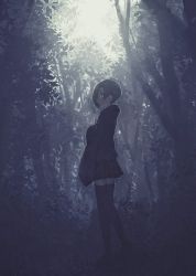 1girl backlighting bad_id bad_twitter_id blonde_hair bush ear_piercing earrings expressionless female_focus forest full_body hair_over_one_eye highres hood hood_down hoodie idolmaster idolmaster_cinderella_girls jewelry leaf long_sleeves looking_at_viewer naname_(fossama1) nature outdoors piercing profile red_eyes shirasaka_koume short_hair skirt sleeves_past_fingers sleeves_past_wrists solo standing stud_earrings thighhighs tree zettai_ryouiki rating:General score:11 user:danbooru