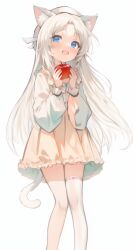 1girl animal_ear_fluff animal_ears apple beret blue_eyes cat_ears cat_girl cat_tail commentary_request dress food fruit hat highres holding holding_food holding_fruit long_hair long_sleeves looking_at_viewer open_mouth original single_thighhigh solo standing tail teeth thighhighs upper_teeth_only wangyq white_dress white_hair white_hat white_thighhighs rating:General score:19 user:danbooru
