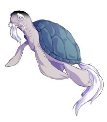  beard black_eyes closed_mouth commentary_request dairi facial_hair full_body genjii_(touhou) gloom_(expression) large_variant_set looking_down no_humans simple_background tachi-e touhou touhou_(pc-98) transparent_background turtle variant_set 