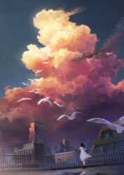  1girl balcony bird black_hair black_shoes blue_sky building city cityscape cloud cloudy_sky commentary_request concrete dress dutch_angle evening fence floating_clothes floating_hair flock from_behind hand_on_railing hand_up highres iron_fence long_hair m.b medium_dress on_rooftop orange_clouds original outdoors puddle purple_clouds rooftop scenery shoes signature simple_bird sky sky_focus skyscraper standing very_wide_shot watermark white_bird white_dress window 