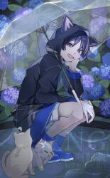  1boy aether_(genshin_impact) ahoge alternate_costume animal_ear_hood animal_ears animalization arm_between_legs artist_name black_coat black_hair black_sleeves blonde_hair blue_boots blue_flower blunt_ends boots cat_ears coat elbow_on_knee eyeliner eyeshadow fake_animal_ears flower from_side genshin_impact grey_trim hair_flower hair_ornament hair_tie hand_on_own_face highres hood hood_up hooded_coat hydrangea leaf long_hair long_sleeves looking_at_viewer low-braided_long_hair low-tied_long_hair lumine_(genshin_impact) makeup male_focus multicolored_flower official_alternate_costume open_mouth outdoors person_and_animalization purple_eyes purple_flower purple_pupils rain raincoat red_eyeliner red_eyeshadow rubber_boots scaramouche_(genshin_impact) shorts sien1009 solo squatting transparent transparent_umbrella tsurime umbrella wanderer_(genshin_impact) water_drop watermark white_flower white_shorts white_umbrella 