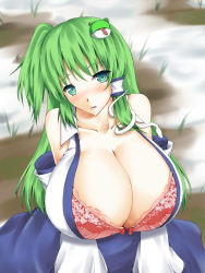  1girl ahoge aqua_eyes bad_id bad_pixiv_id bare_shoulders blue_eyes blush bow bow_bra bra breasts cleavage collarbone detached_sleeves female_focus frog from_above gigantic_breasts green_hair hair_tubes head_tilt highres huge_breasts japanese_clothes kochiya_sanae lace lace-trimmed_bra lace_trim lingerie long_hair looking_at_viewer looking_up miko nose_blush on_floor otogi_(s_in_w) outdoors parted_lips pink_bra side_ponytail sitting snake snow solo touhou underwear vest wetland  rating:Questionable score:128 user:danbooru