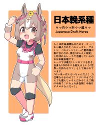 1girl absurdres animal_ears black_shirt blush bodysuit brown_bodysuit brown_eyes chest_harness extra_ears flower hair_between_eyes hair_flower hair_ornament harness headgear highres horse_ears horse_girl horse_tail japanese_draft_horse_(kemono_friends)_(pozesuke) kemono_friends light_brown_hair looking_at_viewer multicolored_hair open_mouth original pozesuke shirt shoes short_sleeves sidelocks smile sneakers solo t-shirt tail translation_request two-tone_bodysuit two-tone_hair white_bodysuit white_hair white_shoes wristband