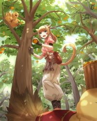 1girl ahoge animal_ears basket blonde_hair cat_ears cat_tail chocobo dappled_sunlight fat_chocobo final_fantasy final_fantasy_xiv fingerless_gloves food from_below fruit gloves gourd green_eyes happy highres jar looking_at_viewer looking_down miqo&#039;te nature ojiki orange_(fruit) outdoors picking_fruit ponytail puffy_short_sleeves puffy_sleeves sash short_sleeves slit_pupils smile standing_on_animal sunlight tail tree rating:Sensitive score:5 user:danbooru