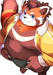  1boy bara barefoot belly blush closed_mouth fang fang_out fat fat_man from_above furry furry_male jacket looking_at_viewer looking_up male_focus mawashi nipples red_panda_boy red_panda_ears red_panda_tail smile suruga_(tamacolle) syo_mitarai tamacolle yellow_jacket 