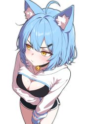  1girl absurdres ahoge animal_ear_fluff animal_ears arm_under_breasts bell black_bra black_choker black_shorts blue_hair bra breasts cat_ears choker cleavage closed_mouth commission cowboy_shot dolphin_shorts frown highres hood hood_down jingle_bell large_breasts long_sleeves looking_to_the_side original pochigo short_shorts shorts shrug_(clothing) simple_background solo sweatdrop thighs underwear v-shaped_eyebrows white_background white_shrug yellow_eyes 