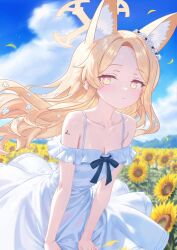  1girl alternate_costume animal_ears backlighting bare_shoulders blonde_hair blue_archive blue_sky blush breasts bright_pupils cleavage closed_mouth cloud collarbone commentary cowboy_shot cross_halo day dress dress_tug expressionless extra_ears falling_petals field floating_clothes floating_hair flower flower_field forehead fox_ears fox_girl halo highres leaning_forward loli long_hair looking_at_viewer multicolored_eyes off-shoulder_dress off_shoulder outdoors parted_bangs petals pink_eyes rin_(rin0214tw) seia_(blue_archive) signature sky small_breasts solo spaghetti_strap sundress sunflower sunflower_field two-tone_eyes white_dress white_pupils wind yellow_eyes yellow_halo 