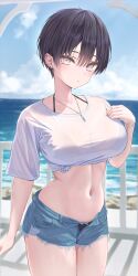  1girl absurdres bikini bikini_under_clothes black_bikini black_hair blush bracelet breasts denim denim_shorts earrings glint highres jewelry large_breasts linea_alba looking_at_viewer navel necklace norio_(noriosub) open_clothes open_shorts original outdoors railing see-through_clothes see-through_shirt shirt short_hair short_shorts short_sleeves shorts signature solo stomach sweat swimsuit t-shirt thighs tied_shirt tomboy white_shirt 