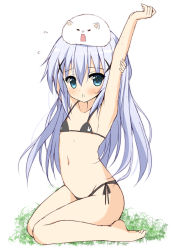 1girl angora_rabbit animal animal_on_head arm_up bad_id bad_pixiv_id blue_eyes blue_hair female_focus gochuumon_wa_usagi_desu_ka? hair_ornament hairclip huei_nazuki kafuu_chino long_hair on_head rabbit rabbit_on_head sitting solo tippy_(gochiusa) tippy_(gochuumon_wa_usagi_desuka?) wariza x_hair_ornament rating:Questionable score:23 user:danbooru