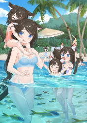  1boy 6+girls aina_(mao_lian) animal_ear_fluff animal_ears arms_up beach black_choker black_hair blue_bra blue_eyes blue_panties blush bra carrying cat_ears cat_tail child choker closed_eyes commission day family fang father_and_daughter fish forest grabbing_another&#039;s_face head_grab highres long_hair looking_at_another mao_lian_(nekokao) mother_and_daughter multiple_girls nature one-piece_swimsuit open_mouth original palm_tree panties parted_bangs pixiv_commission short_hair shoulder_carry siblings sisters standing swimsuit tail tree underwear underwear_only vacation wet wet_hair  rating:General score:42 user:danbooru