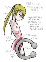  10646 1girl amputee bad_anatomy blonde_hair cross-section female_focus flat_chest long_hair navel navel_piercing nipple_piercing nipples nude piercing pointy_ears quadruple_amputee simple_background solo translation_request twintails uncensored uterus what white_background x-ray 