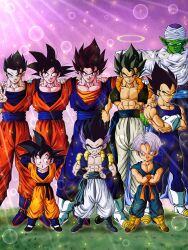  6+boys alien black_hair blue_eyes cape crossed_arms dragonball_z earrings frown full_body fusion gloves gogeta gotenks grin halo hand_on_own_hip highres jewelry looking_at_viewer multiple_boys piccolo purple_hair smile son_gohan son_goku son_goten standing trunks_(dragon_ball) v vegeta vegetto  rating:General score:7 user:Mr._Jive