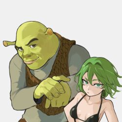  1boy 1girl absurdres bikini black_bikini breasts brown_vest color_connection crossover green_eyes green_hair green_skirt grey_shirt highres leather_vest mogglebear one-punch_man shirt shrek shrek_(series) skirt small_breasts swimsuit tatsumaki vest 