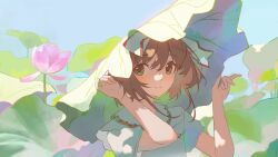  1girl brown_hair cardcaptor_sakura chaaarity day dress flower green_eyes hair_ribbon highres kinomoto_sakura looking_at_viewer lotus lotus_leaf ribbon short_hair solo summer upper_body white_dress 