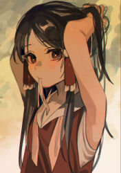  1girl absurdres armpits bare_arms black_hair brown_eyes frilled_hair_tubes frills hair_tubes hakurei_reimu highres long_hair mouth_hold parted_bangs red_shirt shi_chimi shirt solo sweat touhou tying_hair upper_body  rating:General score:4 user:danbooru