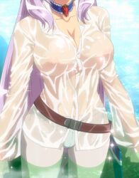  absurdres anime_screenshot annelotte belt breasts highres huge_breasts jewelry nature necklace nipples panties pink_hair queen&#039;s_blade river scabbard sheath shirt stitched third-party_edit underwear water wet wet_clothes wet_shirt white_panties  rating:Explicit score:35 user:venedictorus