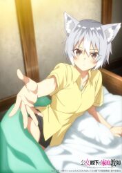  1girl animal_ear_fluff animal_ears arm_support artist_request bed bed_invitation black_shorts blanket blush breasts brown_eyes closed_mouth collarbone collared_shirt commentary_request copyright_name copyright_notice grey_hair hair_between_eyes highres jewelry karen_(koujo_denka_no_katei_kyoushi) koujo_denka_no_katei_kyoushi looking_at_viewer lying medium_breasts official_art on_bed on_side pendant pillow reaching reaching_towards_viewer shirt short_hair short_shorts short_sleeves shorts solo yellow_shirt 