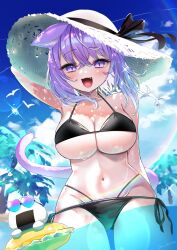 1girl animal_ears bikini black_bikini blush breasts cat_ears cat_girl cat_tail cowboy_shot hat highres hololive komiojisan large_breasts medium_hair nekomata_okayu onigirya_(nekomata_okayu) partially_submerged purple_eyes purple_hair purple_tail side-tie_bikini_bottom slit_pupils solo_focus standing straw_hat summer swimsuit tail virtual_youtuber 