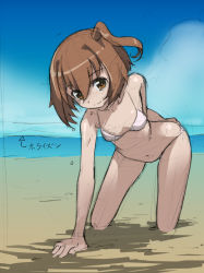 10s 1girl all_fours beach bikini brown_eyes brown_hair female_focus kneeling log_horizon minori_(log_horizon) navel ocean outdoors rohitsuka short_hair side_ponytail sketch smile solo swimsuit water white_bikini  rating:Sensitive score:47 user:danbooru