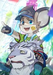  2boys animal_ears artist_name bamboo black_gloves blue_shorts carrying carrying_person fang fingerless_gloves furry furry_male gloves green_shirt hashtag-only_commentary highres male_focus mouse_boy mouse_ears mouse_tail multiple_boys nimbus_(world_flipper) open_mouth pointing pointing_forward ponytail shirt shorts shoulder_carry skin_fang smile sparkle sven_(world_flipper) sweat tail tanabata tiger_boy tiger_ears tiger_stripes visor_cap waahurikya whiskers world_flipper 