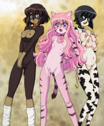  animal_ears artist_request blue_eyes breasts collar flat_chest furry henrietta_de_tristain highres loli louise_francoise_le_blanc_de_la_valliere extra_breasts nipples nude photoshop pink_hair pussy siesta smile tail transformation zero_no_tsukaima  rating:Questionable score:101 user:asdfgh123