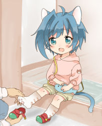 10s 1boy ahoge animal_ears bad_id bad_pixiv_id blue_eyes blue_hair cardfight!!_vanguard cat_boy cat_ears cat_tail chawanmushi_(ebikamaboko) fang full_body hood hoodie male_focus open_mouth putting_on_footwear sendou_aichi shoes shorts single_shoe smile tail aged_down rating:General score:13 user:danbooru