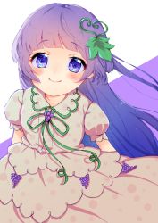 1girl blue_hair blunt_bangs blush dress food fruit furude_rika grapes hair_ornament highres higurashi_no_naku_koro_ni hime_cut juliet_sleeves leaf_hair_ornament long_hair long_sleeves pink_dress puffy_sleeves purple_eyes shirokuma_(whitepea0c0h) sidelocks simple_background smile white_background rating:General score:2 user:danbooru