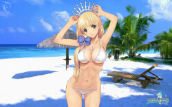  1girl beach bikini blonde_hair clalaclan_philias green_eyes highres shining_(series) shining_wind swimsuit tagme tony_taka 