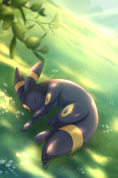 blurry closed_eyes commentary day gen_2_pokemon grass highres lying nintendo no_humans on_side outdoors pokemon pokemon_(creature) pokemon_focus rumine_(yoshi1234567) shadow sleeping solo umbreon 