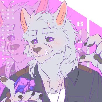  1boy animal_ears black_sclera blaidd_the_half-wolf claws colored_sclera dog_nose elden_ring english_text fangs fangs_out furry furry_male gift grey_fur hashtag-only_commentary holding holding_gift incoming_gift looking_at_viewer male_focus pawpads purple_eyes smile wolf_boy wolf_ears zhzsdsb 
