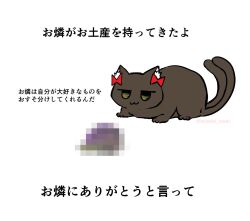  :3 animal_focus bow cat censored commentary_request kaenbyou_rin kaenbyou_rin_(cat) mosaic_censoring no_humans noai_nioshi red_bow simple_background touhou translation_request white_background yellow_eyes 