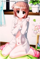  00s 1girl blush bow bow_panties brown_eyes cloud clover collarbone curtains cushion flip-flops flower_pot four-leaf_clover hair_ribbon highres hiide loli long_hair long_sleeves looking_at_viewer navel nekomiya_nono nipples open_clothes open_shirt panties pink_footwear plant ponytail poster_(medium) ribbon sandals shirt side_ponytail sitting sky smile towel towel_around_neck underwear wall white_panties white_shirt window yotsunoha  rating:Questionable score:23 user:loli_and_pee