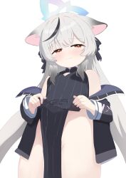  1girl absurdres animal_ears artist_request bare_shoulders black_dress blue_archive blue_halo blush brown_eyes china_dress chinese_clothes closed_mouth dress female_focus from_below grey_hair halo highres jacket jacket_partially_removed kokona_(blue_archive) loli long_hair looking_at_viewer no_panties pinstripe_dress pinstripe_pattern solo standing tiger_ears tiger_girl white_background  rating:Sensitive score:14 user:SGuy669
