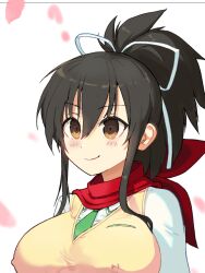  1girl asuka_(senran_kagura) breasts brown_eyes brown_hair covered_erect_nipples falling_petals large_breasts lunaticsoda nipples petals ponytail portrait red_scarf scarf senran_kagura 