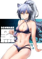 1girl absurdres animal_ear_fluff animal_ears arknights arm_support bare_arms bare_shoulders bikini black_bikini breasts cat_ears character_name choker collarbone commentary cowboy_shot female_focus hair_between_eyes highres holding holding_removed_eyewear long_hair looking_at_viewer medium_breasts multi-strapped_bikini navel ponytail redfish schwarz_(arknights) sidelocks silver_hair sitting solo stomach sunglasses sunglasses_removed swimsuit thighs unworn_eyewear white_background yellow_eyes rating:Sensitive score:5 user:danbooru