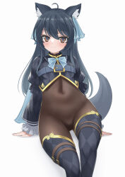  1girl absurdres ahoge animal_ear_fluff animal_ears argyle_clothes argyle_legwear argyle_shirt argyle_thighhighs arute_arisu black_hair black_shrug blush bodystocking bodysuit borrowed_character breasts brown_bodysuit cat_ears cat_girl chest_belt covered_navel detached_pants gold_trim hair_ribbon highres impossible_bodysuit impossible_clothes long_hair long_sleeves looking_at_viewer multicolored_eyes original red_eyes ribbon see-through_bodystocking shrug_(clothing) simple_background skin_tight small_breasts smile solo svartlilja_(vrchat) tail thighs vrchat vrchat_(medium) white_background 