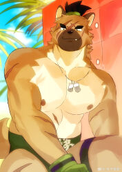  1boy absurdres animal_ears bara chinese_commentary closed_mouth commentary_request cross_scar dog_boy dog_ears dog_tags dog_tail facial_scar fang fang_out furry furry_male gloves green_gloves highres jewelry looking_at_viewer male_focus mawashi multiple_scars muscular muscular_male necklace nipples no_pants scar scar_across_eyebrow scar_on_cheek scar_on_face scar_on_leg scar_on_stomach smile tail tokyo_houkago_summoners topless_male watermark weibo_watermark yan_tou_bu_xi_yan yasuyori_(housamo) 