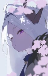  1girl black_horns blue_archive demon_girl demon_horns fur_trim highres hina_(blue_archive) horns ima2ki multiple_horns parted_bangs purple_eyes white_hair 