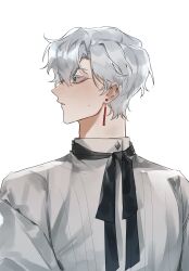  1boy blue_eyes collared_shirt hair_between_eyes highres long_sleeves looking_to_the_side male_focus nose original parted_lips sharonmitsu shirt short_hair simple_background solo upper_body white_background white_hair white_shirt 