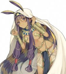  1girl ancient_egyptian ancient_egyptian_clothes animal_ears blonde_hair blunt_bangs breasts dark-skinned_female dark_skin fate/grand_order fate_(series) hair_between_eyes highres jewelry kurodeko long_hair looking_at_viewer medium_breasts multicolored_hair nitocris_(fate) pelvic_curtain purple_eyes purple_hair simple_background smile solo very_long_hair white_background  rating:Sensitive score:32 user:danbooru