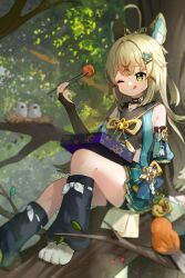 1girl ;) ;q ahoge animal_ear_fluff animal_ears arm_support ass bell bento bike_shorts bird black_choker black_socks blurry bridal_gauntlets cat_ears cat_feet cat_girl chicken_(food) choker chopsticks commentary_request depth_of_field detached_sleeves food fried_chicken genshin_impact green_eyes grey_hair hair_between_eyes hair_ornament hairclip highres holding holding_chopsticks japanese_clothes jingle_bell kirara_(genshin_impact) knee_up kneehighs long_hair looking_away midriff miyako_draw nekomata one_eye_closed pleated_skirt short_sleeves sitting sitting_on_branch skirt smile socks tongue tongue_out tree x_hair_ornament rating:General score:9 user:danbooru
