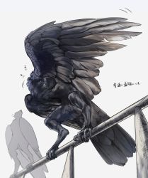  2others bird bird_wings black_wings crow feathered_wings full_body highres li_sakura multiple_others no_humans original preening railing simple_background solo squatting standing talons white_background wings 