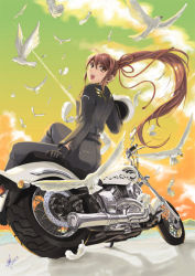  1girl bird dove female_focus motor_vehicle motorcycle original ponytail solo vehicle yuu_(yuyukaikan)  rating:Sensitive score:3 user:danbooru