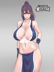  1girl areola_slip bad_id bad_pixiv_id bare_shoulders blush breasts brown_eyes brown_hair contrapposto covered_erect_nipples curvy fatal_fury female_focus fingerless_gloves gloves hand_on_own_hip high_ponytail highres hip_focus huge_breasts impossible_clothes lips loincloth midriff navel ninja no_panties pelvic_curtain ponytail sagging_breasts sarashi see-through_clothes shiny_skin shiranui_mai sideboob snk solo standing tetsu_(suchiiru_mania) the_king_of_fighters  rating:Questionable score:39 user:danbooru