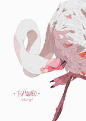  absurdres animal animal_focus bird commentary english_commentary english_text flamingo green_eyes green_pupils heart highres leg_up limited_palette looking_at_self no_sclera original photoshop_(medium) pink_theme preening signature simple_background solo standing standing_on_one_leg webbed_feet white_background white_theme xi_zhang 
