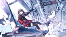  1girl absurdres ad black_hair black_jacket black_leggings blue_eyes blunt_bangs blunt_sidelocks commentary_request day floating_clothes floating_hair full_body hand_grip highres hime_cut jacket leggings light_blush looking_ahead multicolored_jacket nijisanji open_mouth otani3710 pamphlet rabbit red_jacket shirt shoes sidelocks sitting smile sneakers solo star_(symbol) train_interior tsukino_mito tsukino_mito_(19th_costume) turning_head turtleneck two-tone_jacket white_shirt white_sneakers 