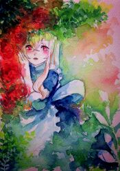  1girl apron blue_dress blush commentary_request dress feet_out_of_frame flower foliage frilled_apron frills hair_between_eyes hand_up kagerou_project kozakura_marry long_hair looking_at_viewer painting_(medium) parted_lips pink_background red_eyes red_flower red_rose rose sakusakusakuran shy sleeve_rolled_up solo three-quarter_sleeves traditional_media watercolor_(medium) white_apron white_hair 