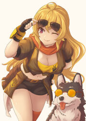  1girl adjusting_eyewear ahoge animal arm_behind_back belt black_gloves black_shorts blonde_hair breasts brown_belt brown_jacket cleavage crop_top cropped_jacket dog eyewear_on_animal eyewear_on_head fingerless_gloves gloves jacket large_breasts long_hair midriff moai_(moai_world) navel one_eye_closed orange_scarf purple_eyes rwby scarf short_shorts shorts simple_background single_thighhigh stomach sunglasses thighhighs very_long_hair welsh_corgi white_background yang_xiao_long zwei_(rwby) 